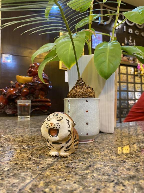 Tycoon Place Garden Pattaya Ngoại thất bức ảnh